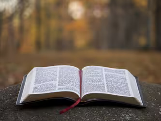 Командный книжный клуб